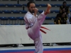 tkd_066