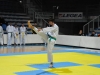 tkd_073