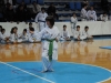 tkd_085