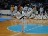 tkd_121