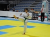 tkd_133